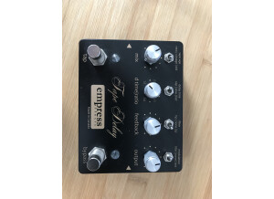 Empress Effects Tape Delay (8983)