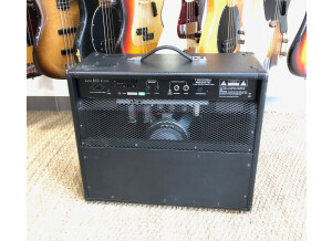 Randall RG50TC (44724)