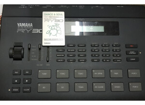 Yamaha RY30 (93699)
