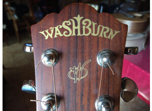 Washburn WD32SCE (2959)
