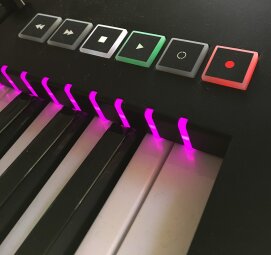 playstop playstop