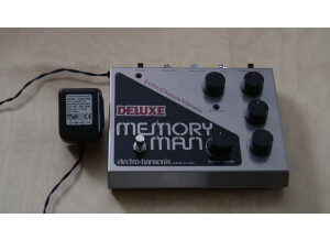 Electro-Harmonix Deluxe Memory Man
