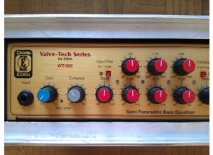Eden Electronics WT-500