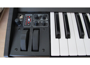 Oberheim Two Voice Pro (45137)