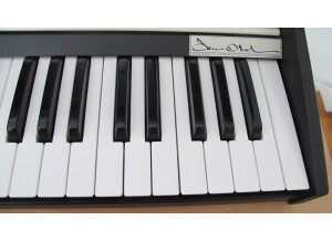 Oberheim Two Voice Pro (76695)