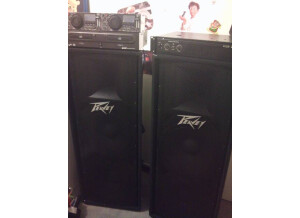 Peavey PV 215 (88286)