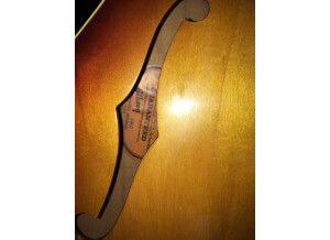 Gibson ES-335 TD (72486)