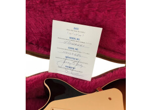 Gibson Bill Kelliher "Halcyon" Les Paul (95318)
