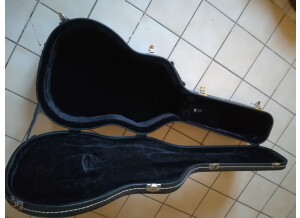 Cort Earth100 (22658)