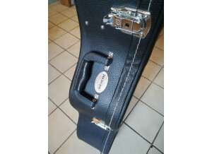 Cort Earth100 (80079)