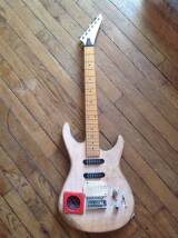 Washburn G-JRV