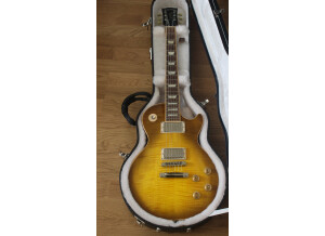 Gibson Les Paul standard 2007 (19224)