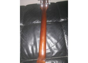 SR Guitars SRLP Origin - Cherry Sunburst Flamed (56803)