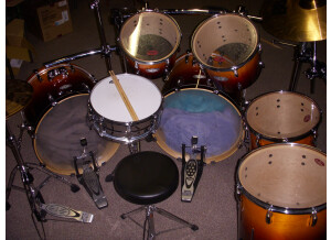Pearl Vision Maple Lacquer