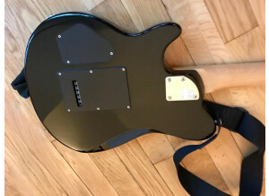 F1E0921C-D43C-4EC7-92C9-09DBD8FA8F86