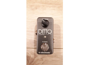 TC Electronic Ditto Looper (1658)