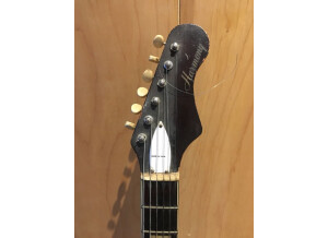 harmony silouhetteH19_4.JPG