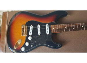 Fender Stevie Ray Vaughan Stratocaster (58316)