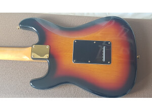 Fender Stevie Ray Vaughan Stratocaster (62713)