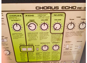 Roland RE-301 Chorus Echo (75634)