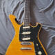 FRM250 Paul Gilbert Signature FRM250 Paul Gilbert Signature