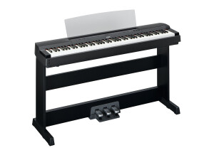 Yamaha P-255 (17820)