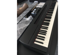 Yamaha P-255 (11997)