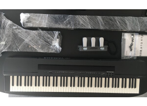 Yamaha P-255 (65439)