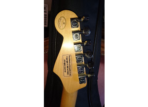 Fender Stratocaster Splatter (33189)