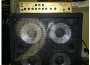 Eden Electronics WT-500