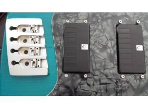 Vigier Excess (60941)