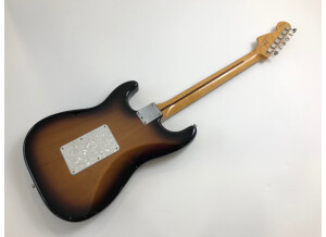 Fender Dave Murray Stratocaster 2015 (66805)
