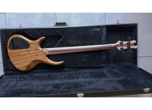 Forbidden Cats Quatuor-