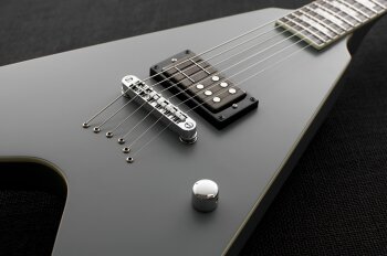 Squash body 3 Squash body 3