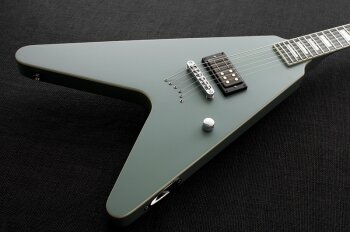 Squash body Squash body