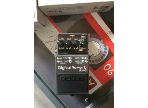 Boss RV-5 Digital Reverb (63256)