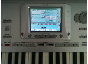 Korg Pa1XPro (69042)