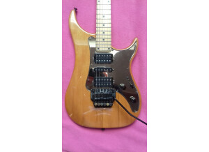 vigier 1