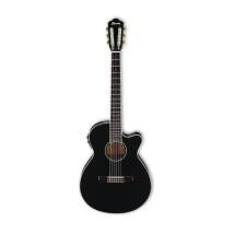 Ibanez AEG10NII
