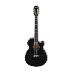 Ibanez AEG10NII