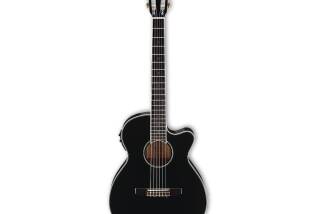 Ibanez AEG10NE