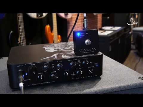 Darkglass Electronics Microtubes 900