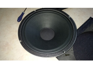 Celestion G12F-60 (37573)