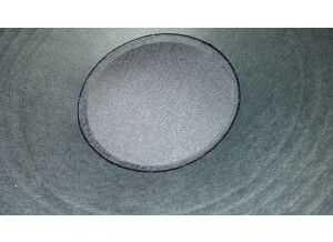 Celestion G12F-60 (5538)