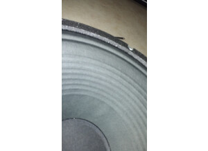 Celestion G12F-60 (95369)