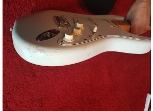 EVH Striped Series Circles (94357)