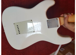 EVH Striped Series Circles (16277)