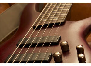 Ibanez SR506 (55961)