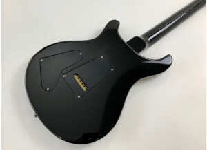 PRS Standard 22 (78379)