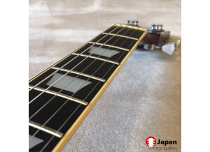 greco_eg500_cherry_sunburst_janvier_1977_vintage_japan_guitars_6